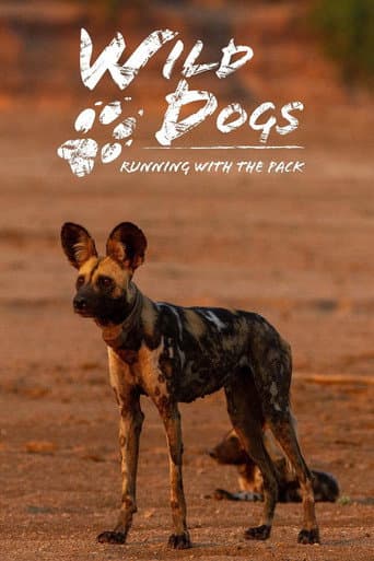 Wild Dogs: Running with the Pack (Series 1 & 2)