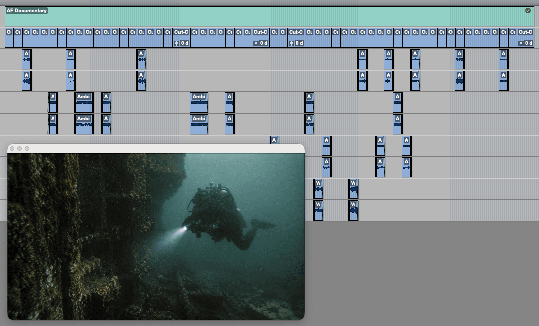 Ambience Friend export in Pro Tools